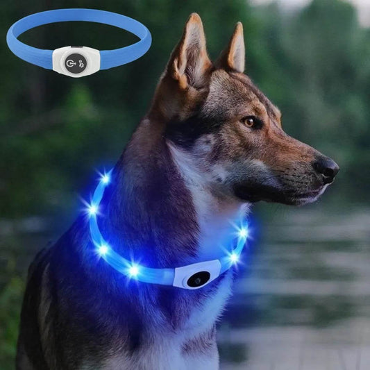 LED Luminous Dog Collar Waterproof USB Light for Night Safety - Estalios