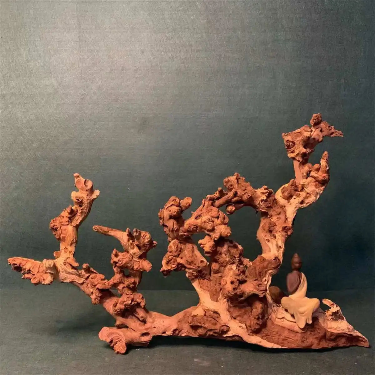 Madera flotante de coral natural para acuarios - Decoración de madera grande