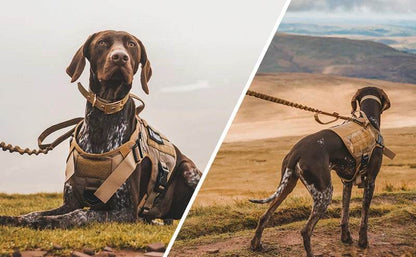 Tactical Military Dog Vest Harness and Leash Set for All Breeds - Estalios