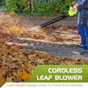 New-Cordless Leaf Blower – 2-Speed Electric Blower with 2 Batteries & Charger, Lightweight for Yard, Patio & Dust Cleaning