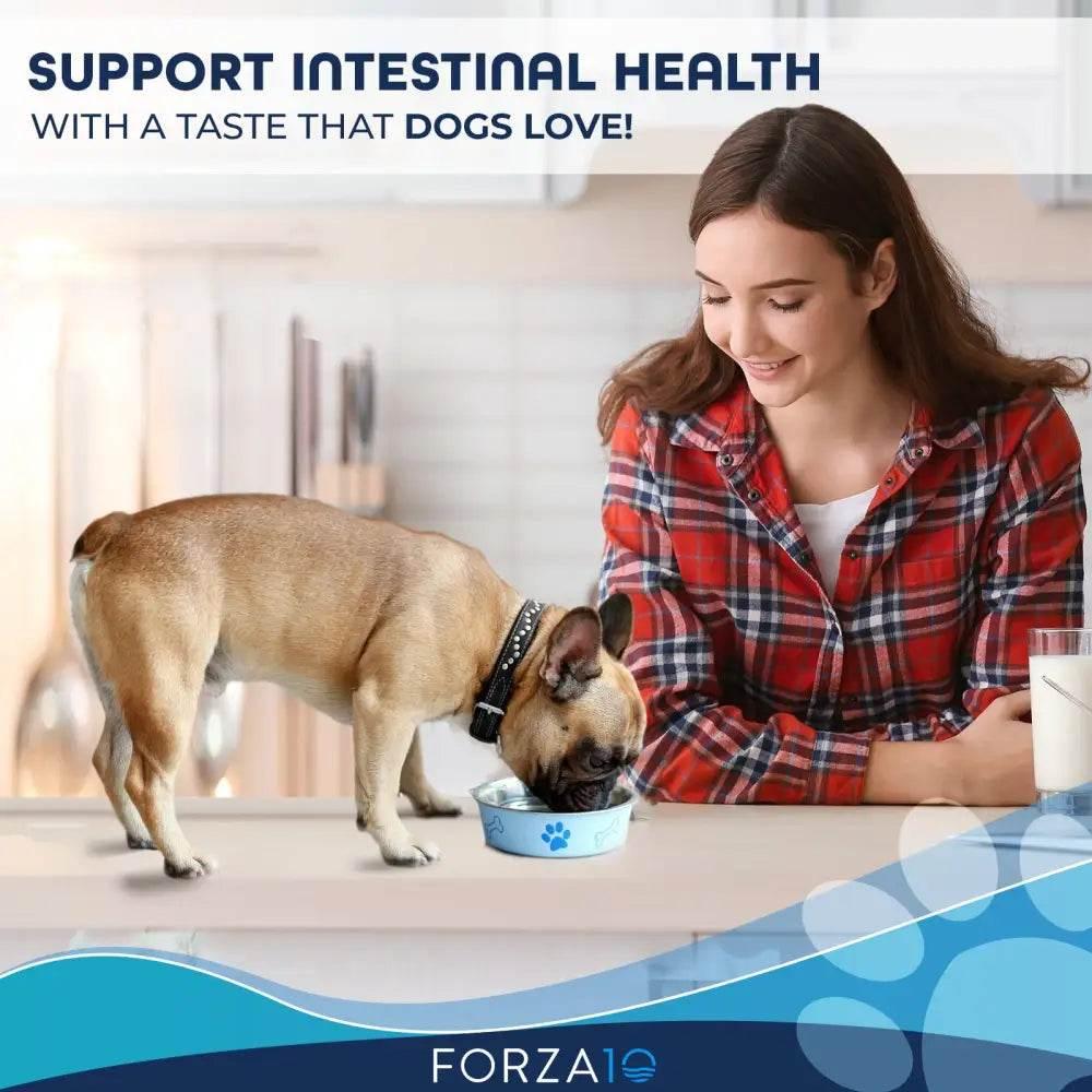 Active Dog Intestinal 22lb for Healthy Digestion - Estalios