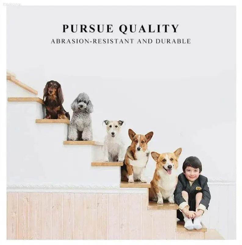 Adventure Awaits: Grab your Go-anywhere Dog Cat Carrier Bag! your Furry Friend Deserves the Best Travel Experience, and our Blue Pet Carrier Delivers - Estalios