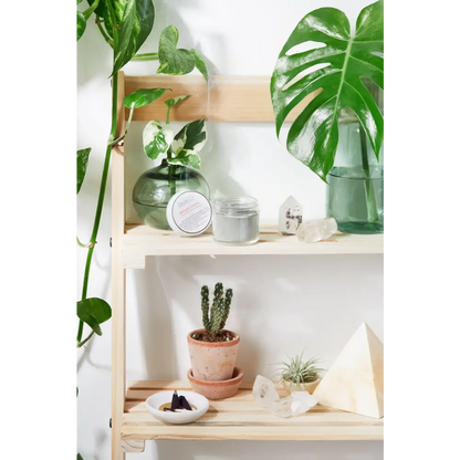 Wooden shelf with plants and crystals showcasing Armpit Detox Powder, ditching traditional deodorant