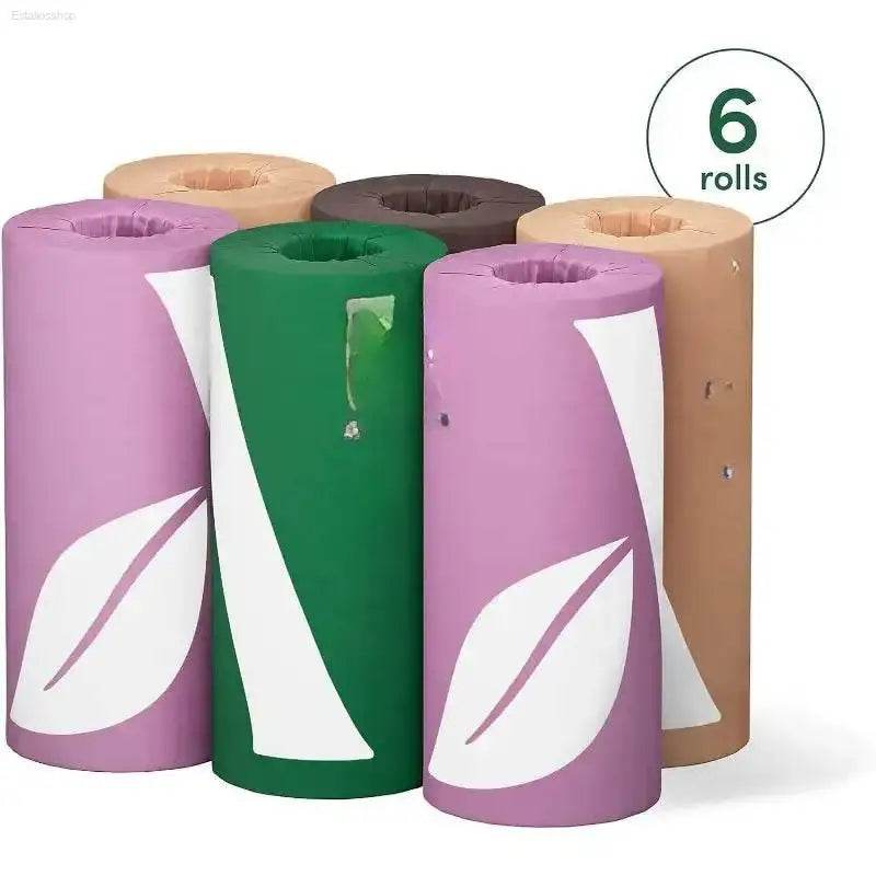Six colorful toilet paper rolls.