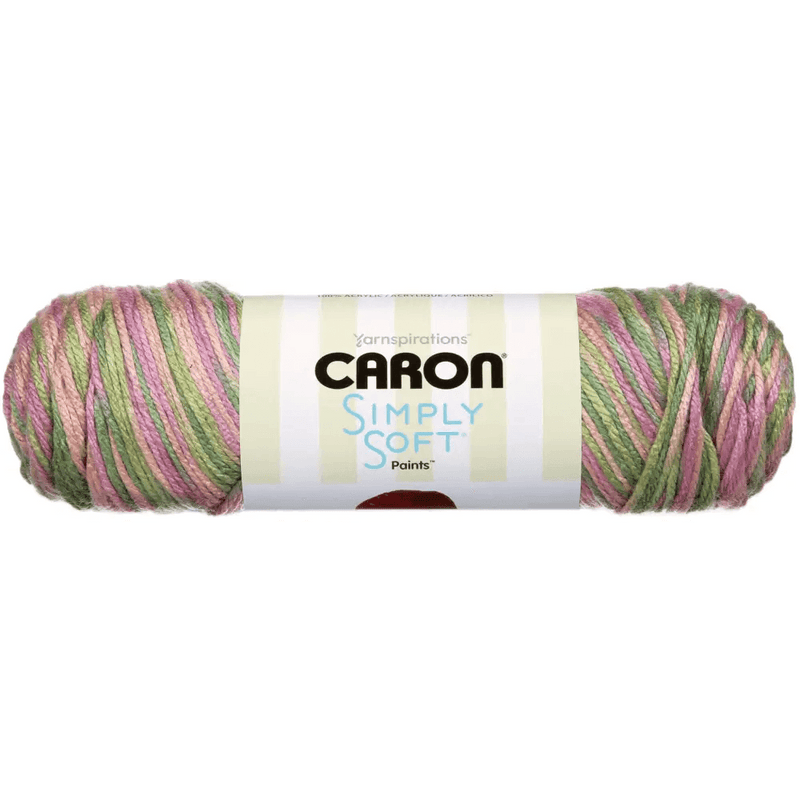 Caron Simply Soft Paints Yarn Rose Garden 2 Skeins Set - Estalios