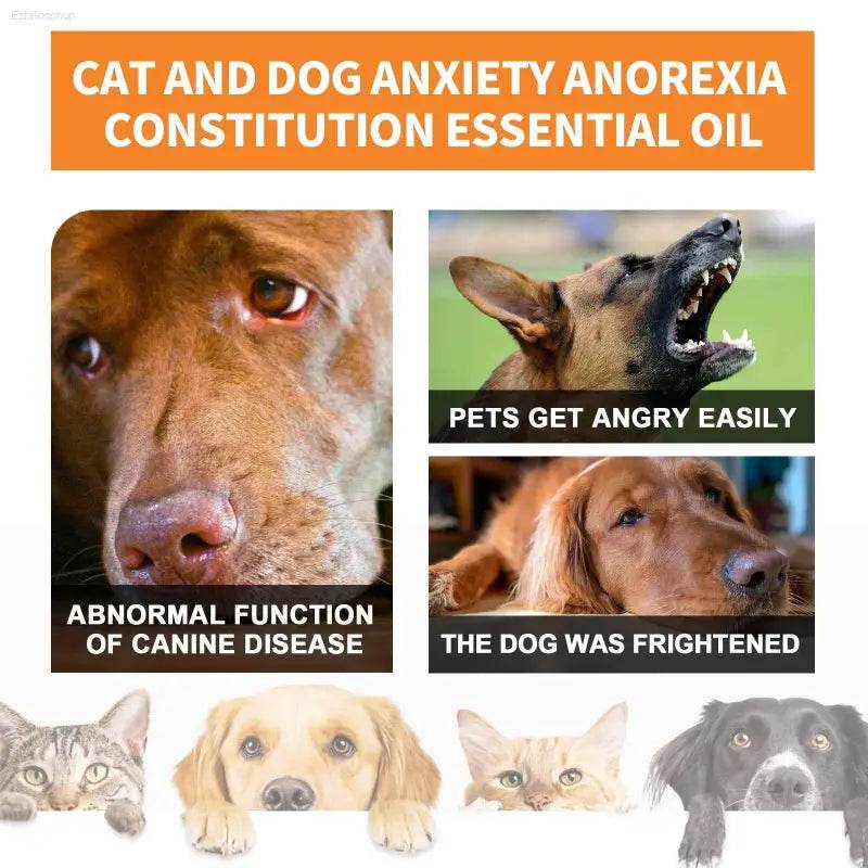 Cat And Dog Care Essence For Enhanced Health With Sesame Oil - Estalios