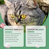 Cat Grass Tablets For Healthy Pets Rich In Fiber - Estalios