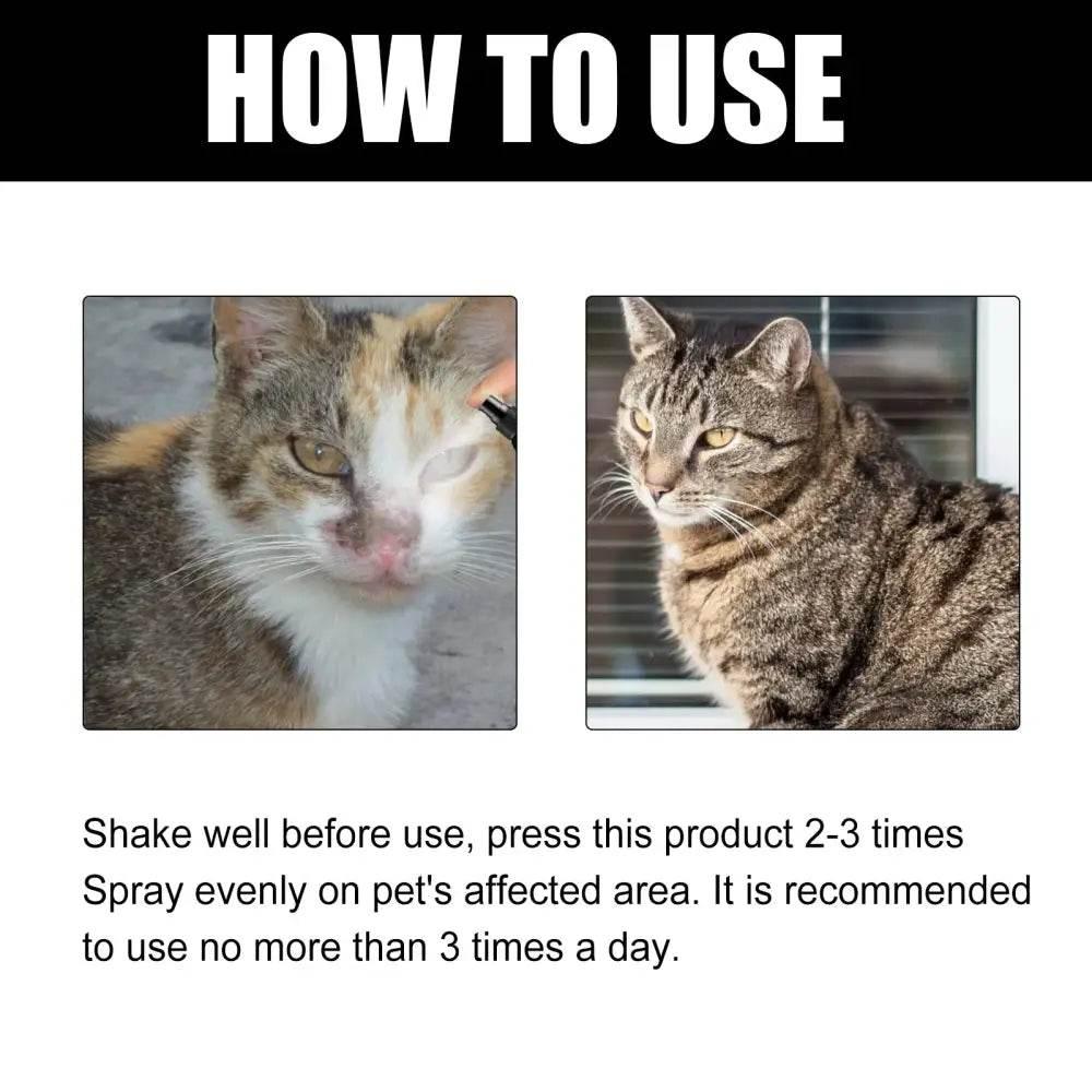 Cat Ringworm Spray for Fast Itch Relief and Healing - Estalios
