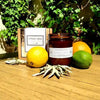 Vibrant Citrus Sage Soy Candle for Energizing Ambiance - Estalios