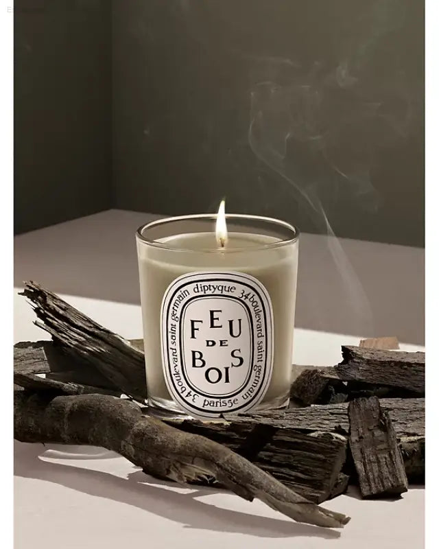 🔥 Cozy Ambiance – Diptyque Feu de Bois Scented Candle | Elegant Aroma for Home & Garden - 6.5 oz