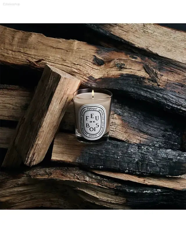 🔥 Cozy Ambiance – Diptyque Feu de Bois Scented Candle | Elegant Aroma for Home & Garden - 6.5 oz
