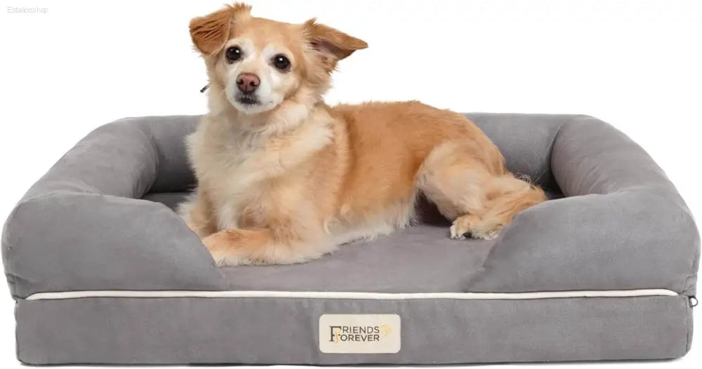 Cozy Chester Orthopedic Memory Foam Dog Bed - Calming Couch with Wall Rim Pillow, Water-Resistant & Washable Cover, Non-Slip Design in Cocoa Brown - Estalios