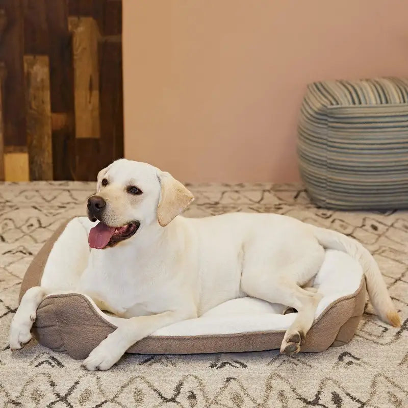 Durable Square Dog Bed - Machine Washable, Comfortable for Medium Dogs