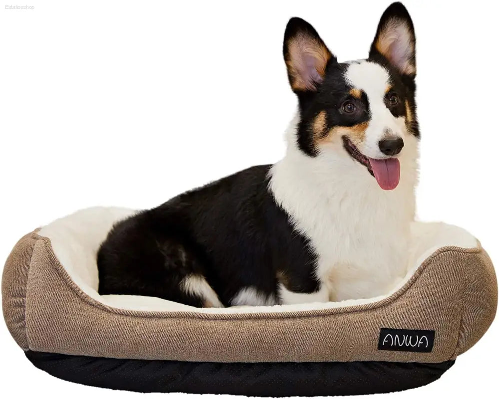 Durable Square Dog Bed - Machine Washable, Comfortable for Medium Dogs