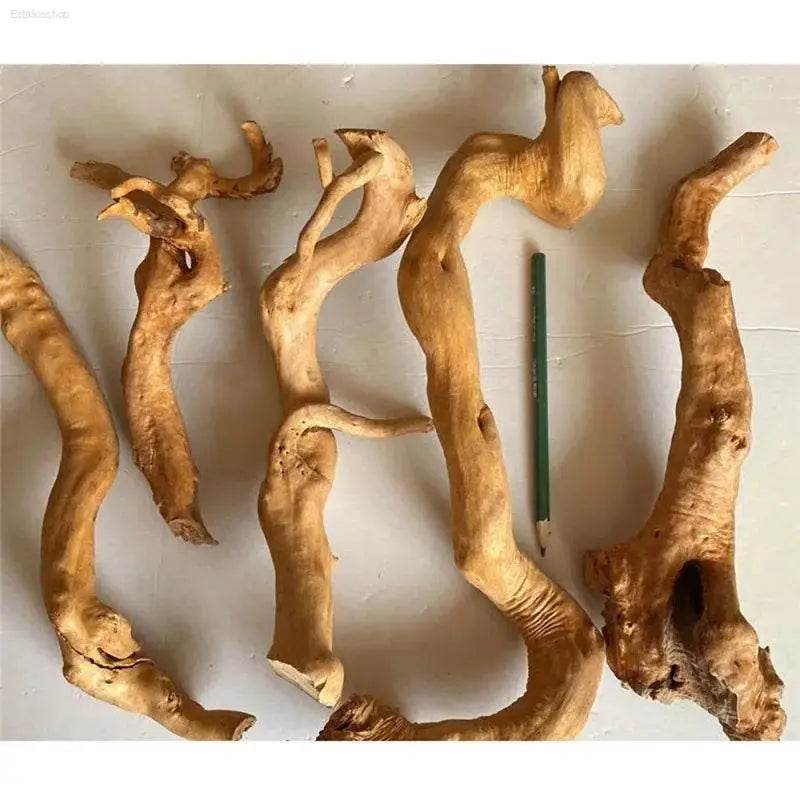 Creative Micro-Landscape Rattan Driftwood Aquarium Decor - Estalios