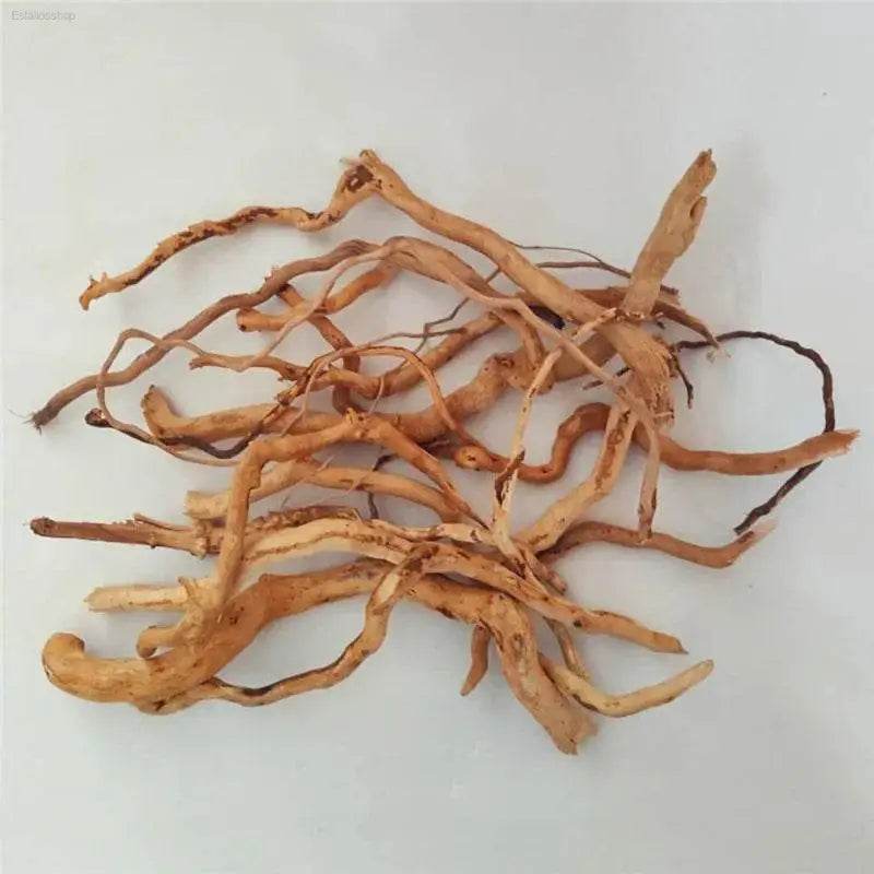 Creative Micro-Landscape Rattan Driftwood Aquarium Decor - Estalios