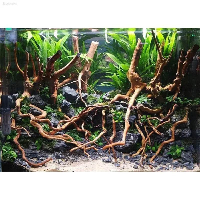 Creative Micro-Landscape Rattan Driftwood Aquarium Decor - Estalios