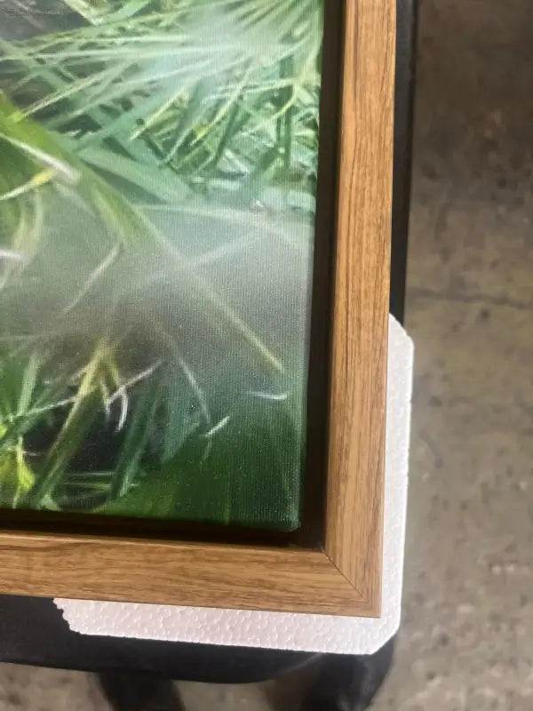 Custom Canvas Prints for Personalized Home Decor - Estalios