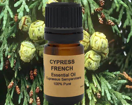 Cypress Essential Oil from Cupressus Sempervirens for Relaxation - Estalios