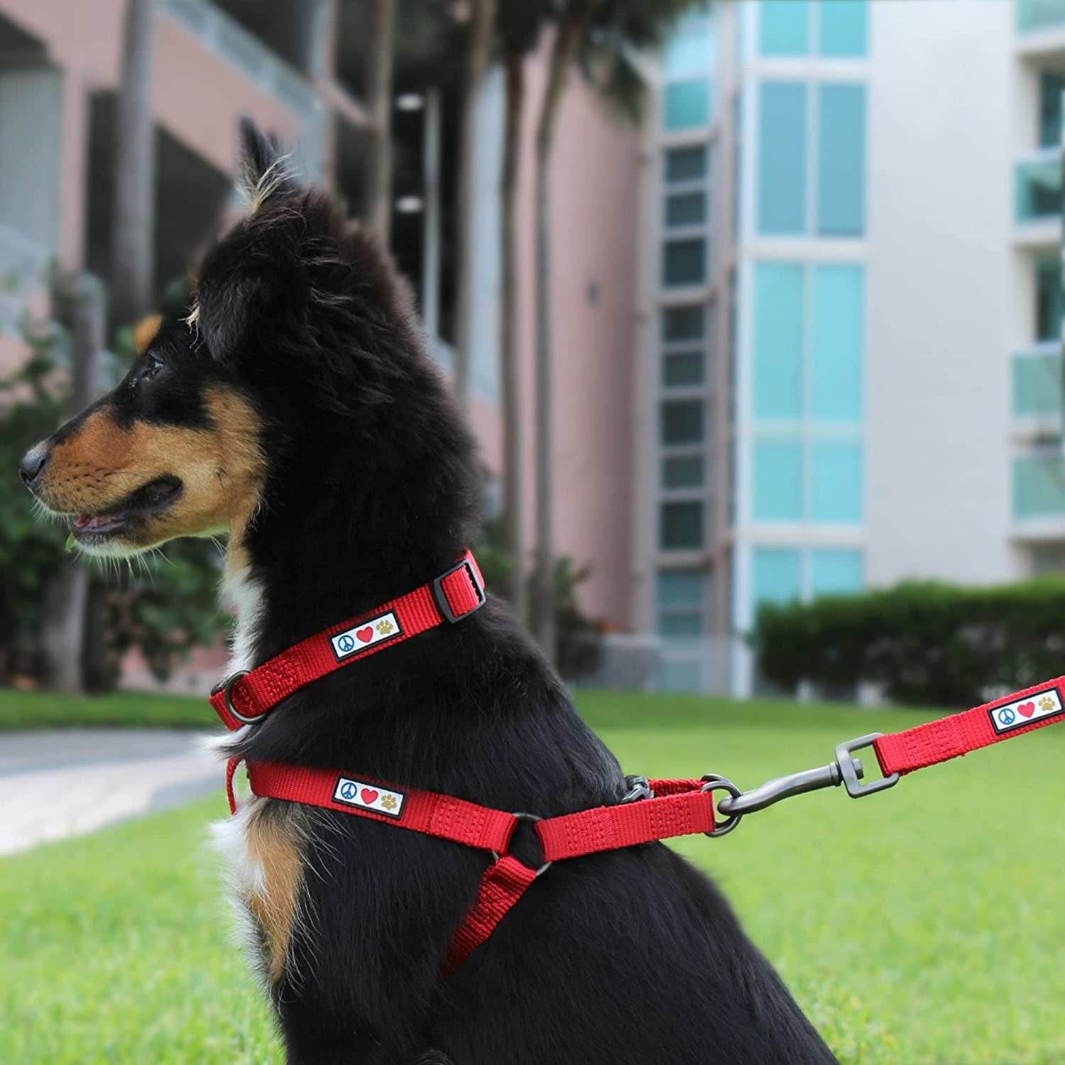 Heavy Duty Adjustable Dog Collar for Large Dogs - Green - Estalios