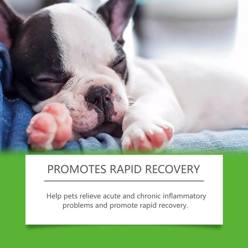 Dietary Supplements For Dogs To Promote Health And Recovery - Estalios