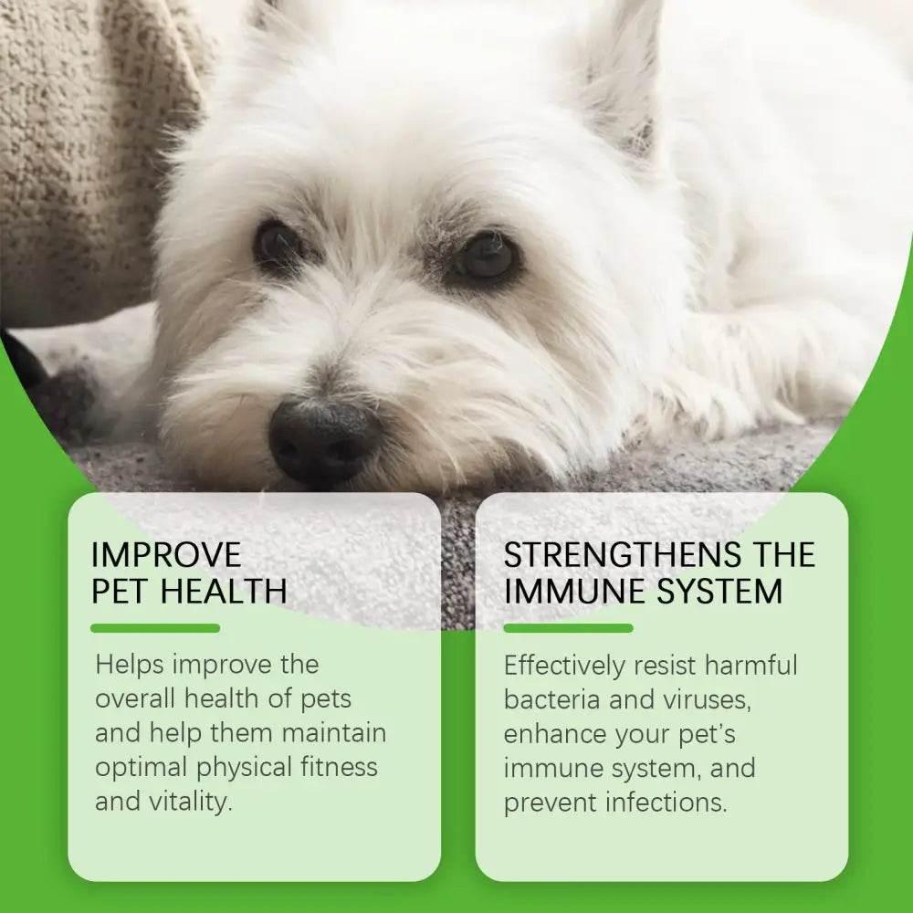 Dietary Supplements For Dogs To Promote Health And Recovery - Estalios