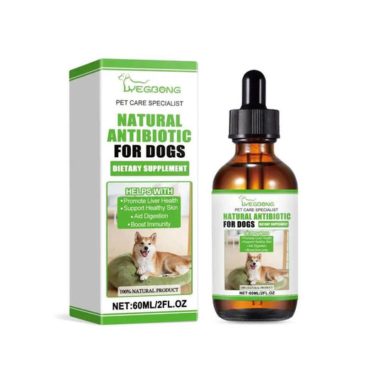 Dietary Supplements For Dogs To Promote Health And Recovery - Estalios