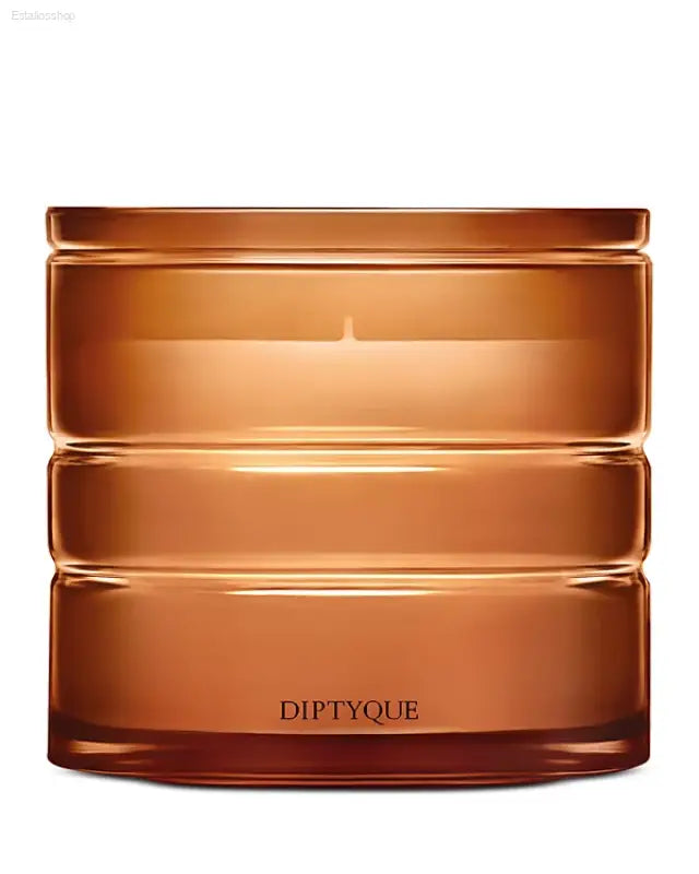 DIPTYQUE Terres Blondes (Golden Lands) Refillable Scented Candle 9.5 oz - 9.5 oz