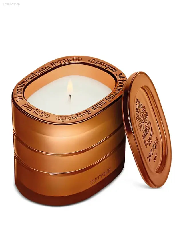 DIPTYQUE Terres Blondes (Golden Lands) Refillable Scented Candle 9.5 oz - 9.5 oz