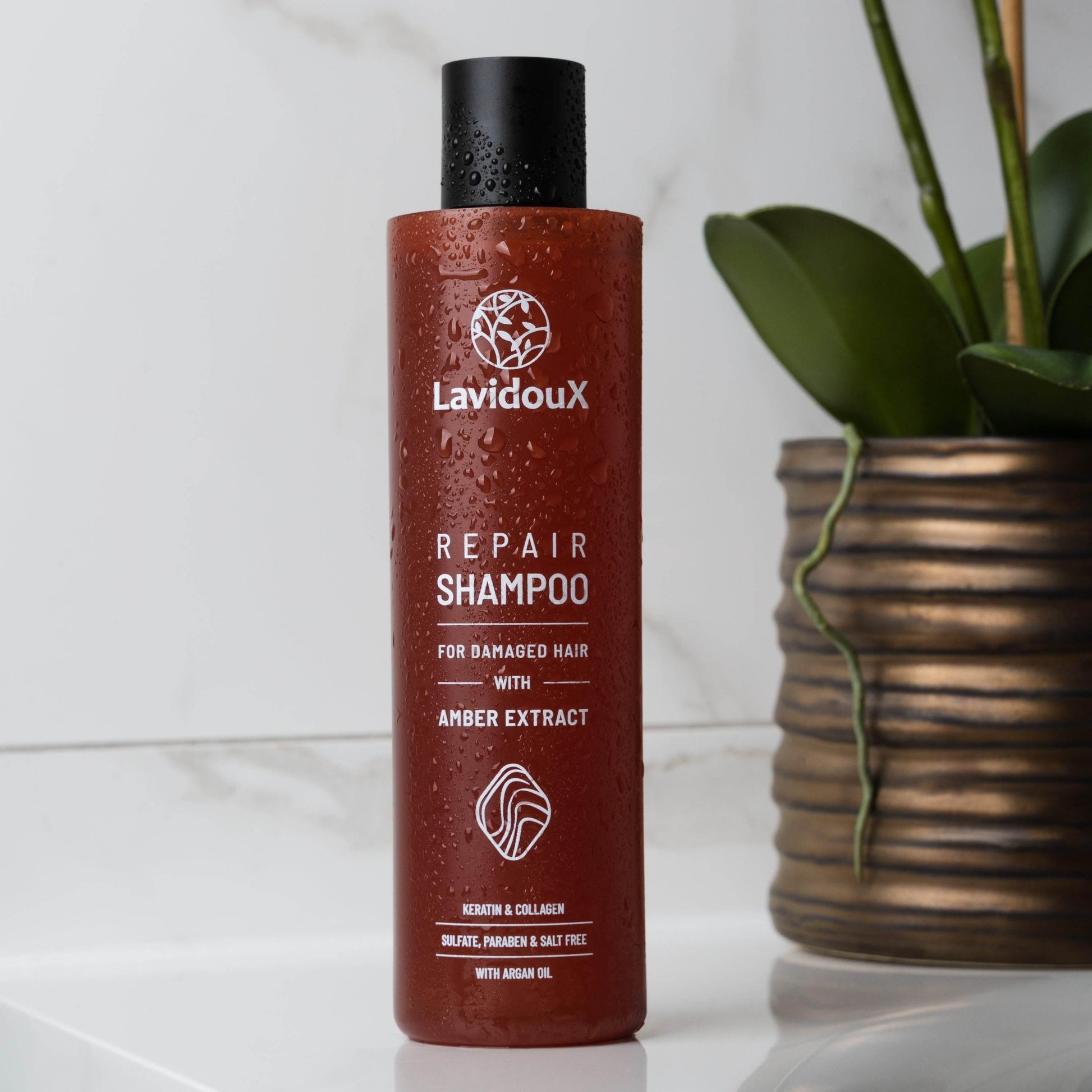 Diverse Store Offering Stylish Apparel, Footwear, Handbags, and More

Repair Shampoo & Conditioner Set for Damaged Hair Recovery - Estalios