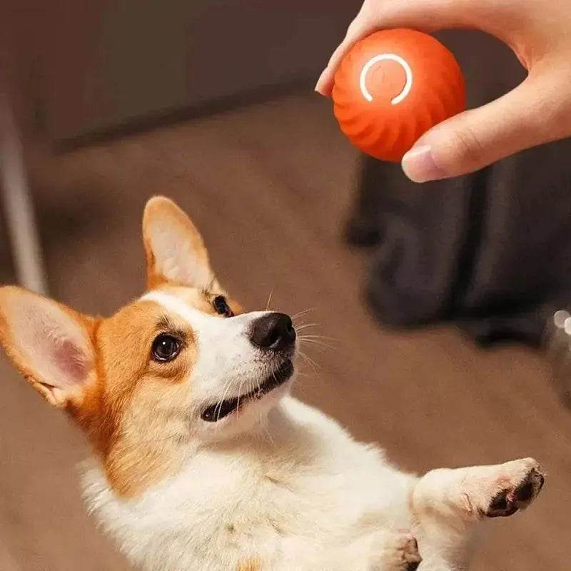 Dog Toy Ball Automatic Moving Interactive USB Chew Toy - Estalios