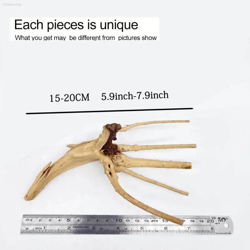 Driftwood Cuckoo Roots Cylinder Aquarium Ornament 7-25CM - Estalios
