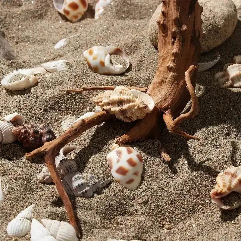 Driftwood Cuckoo Roots Cylinder Aquarium Ornament 7-25CM - Estalios