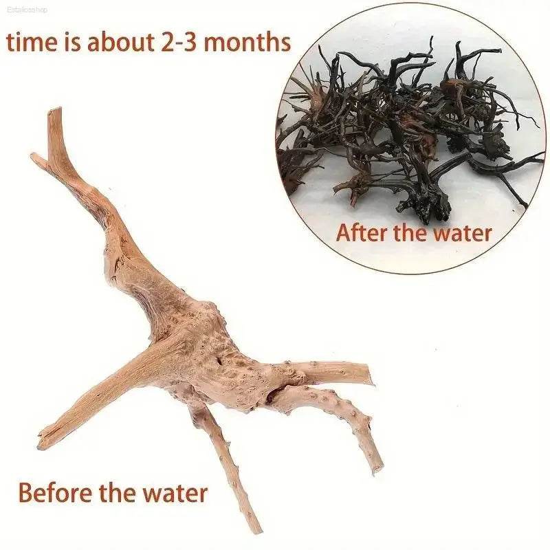 Driftwood Cuckoo Roots Cylinder Aquarium Ornament 7-25CM - Estalios