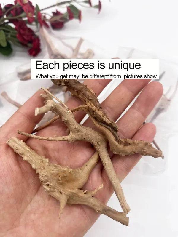 Driftwood Cuckoo Roots Cylinder Aquarium Ornament 7-25CM - Estalios