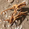 Driftwood Cuckoo Roots Cylinder Aquarium Ornament 7-25CM - Estalios