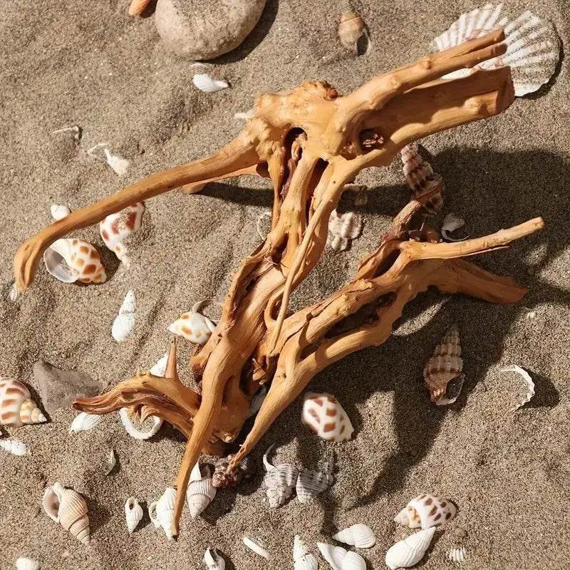 Driftwood Cuckoo Roots Cylinder Aquarium Ornament 7-25CM - Estalios