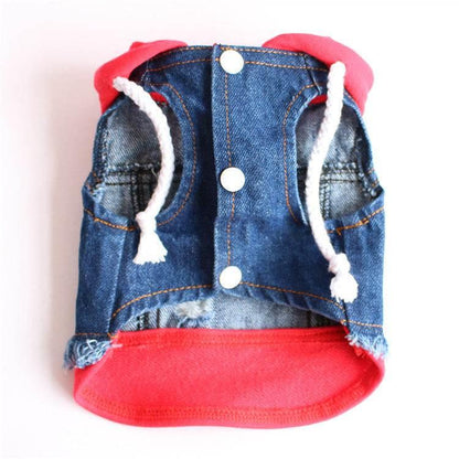 Edgy Denim Dog Jackets: Distressed Style with Bold Red Hood - Estalios