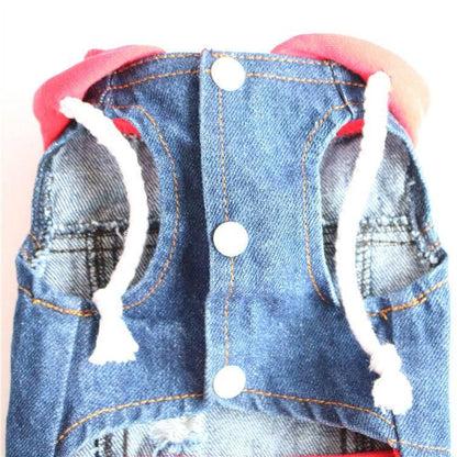 Edgy Denim Dog Jackets: Distressed Style with Bold Red Hood - Estalios