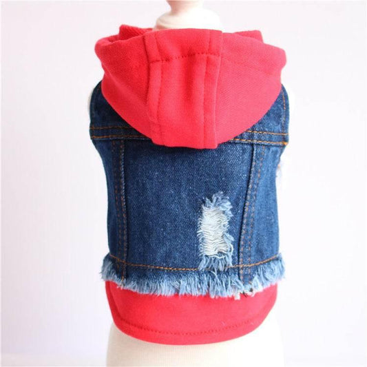 Edgy Denim Dog Jackets: Distressed Style with Bold Red Hood - Estalios