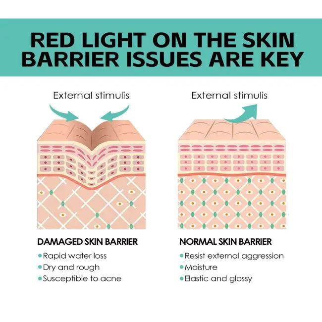 EELHOE Cream Duo: Hydration and Anti-Aging Power - Estalios