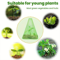 Electrify Your Garden with Bold Green Cone Protectors! - Estalios