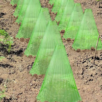 Electrify Your Garden with Bold Green Cone Protectors! - Estalios