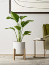 Elegant Set of 3 White Plant Pots (10", 8", 6") with Drainage Hole & Plug - Perfect for Indoor and Patio Decor