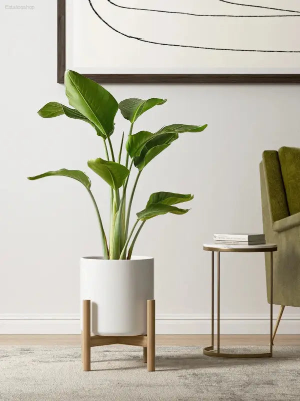 Elegant Set of 3 White Plant Pots (10", 8", 6") with Drainage Hole & Plug - Perfect for Indoor and Patio Decor
