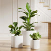Elegant Set of 3 White Plant Pots (10", 8", 6") with Drainage Hole & Plug - Perfect for Indoor and Patio Decor