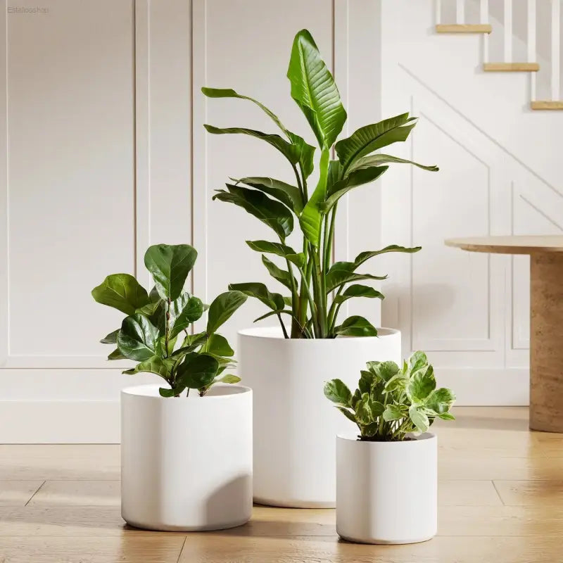 Elegant Set of 3 White Plant Pots (10", 8", 6") with Drainage Hole & Plug - Perfect for Indoor and Patio Decor