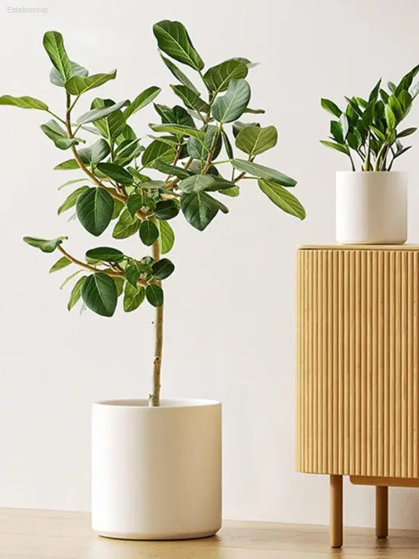 Elegant Set of 3 White Plant Pots (10", 8", 6") with Drainage Hole & Plug - Perfect for Indoor and Patio Decor