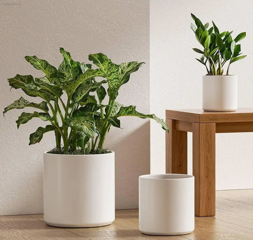 Elegant Set of 3 White Plant Pots (10", 8", 6") with Drainage Hole & Plug - Perfect for Indoor and Patio Decor