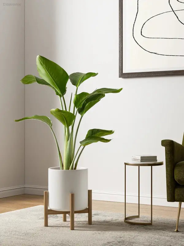 Elegant Set of 3 White Plant Pots (10", 8", 6") with Drainage Hole & Plug - Perfect for Indoor and Patio Decor